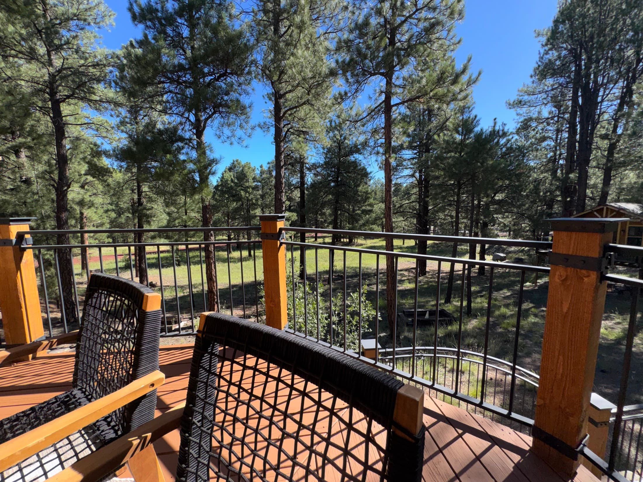 View of the pines from the cabin's deck
