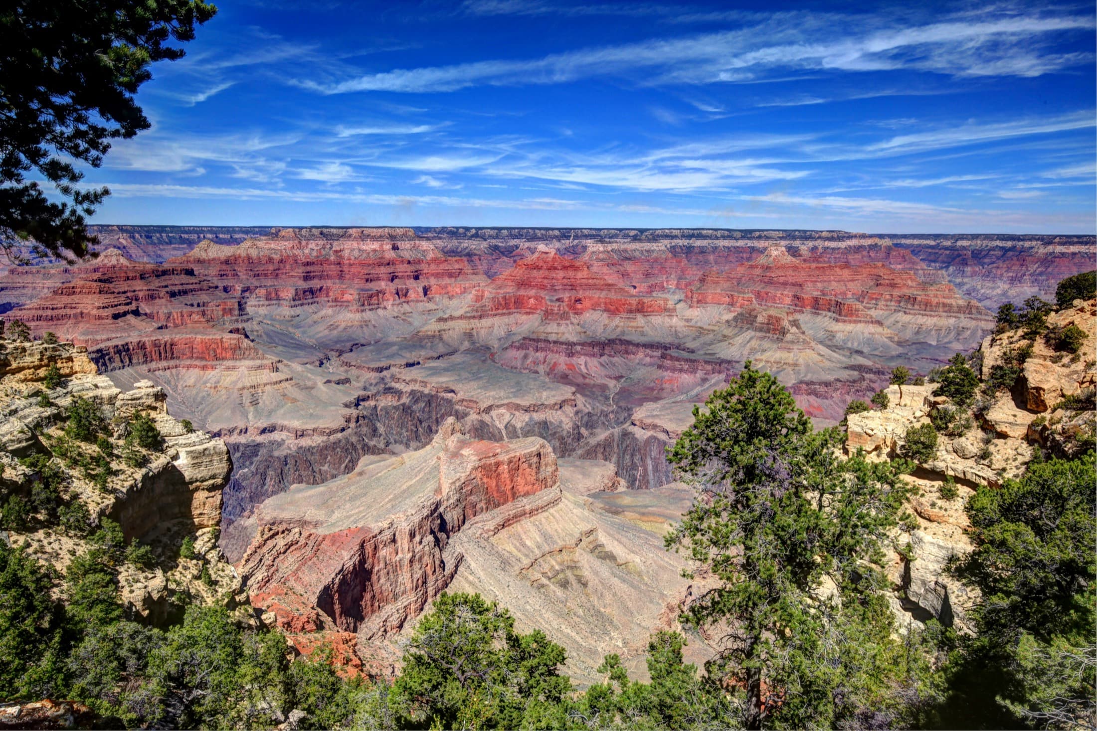 Overlook of the Grand Canyon under a blue sky